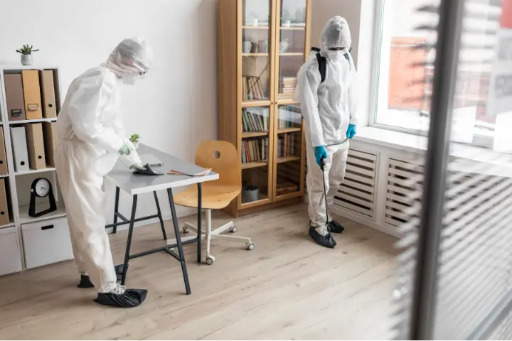 Pest Inspection and Intervention