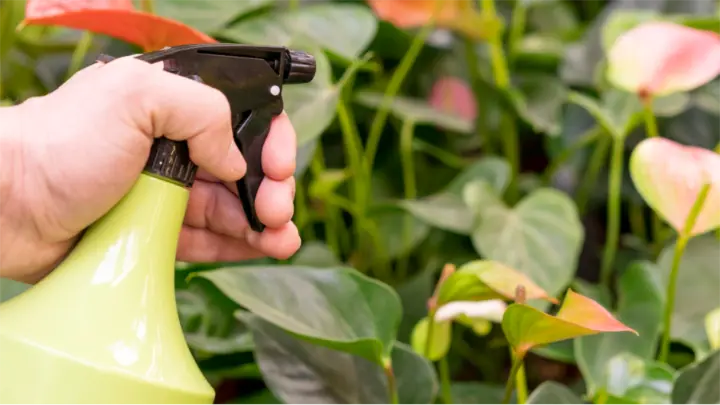 DIY Weed Control