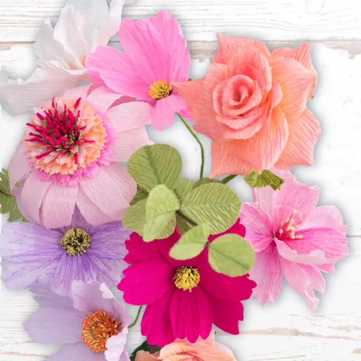 Color and Detail in Flowers
