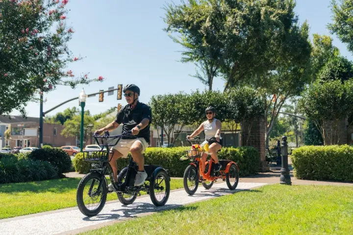 Electric Trike and EBike