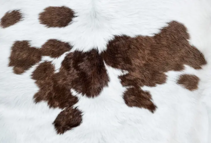 Layered Texture of Cowhide Rug Layered Texture of Cowhide Rug